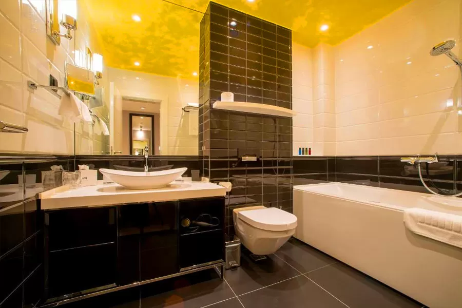 Forza Terra DBL std_01.jpg